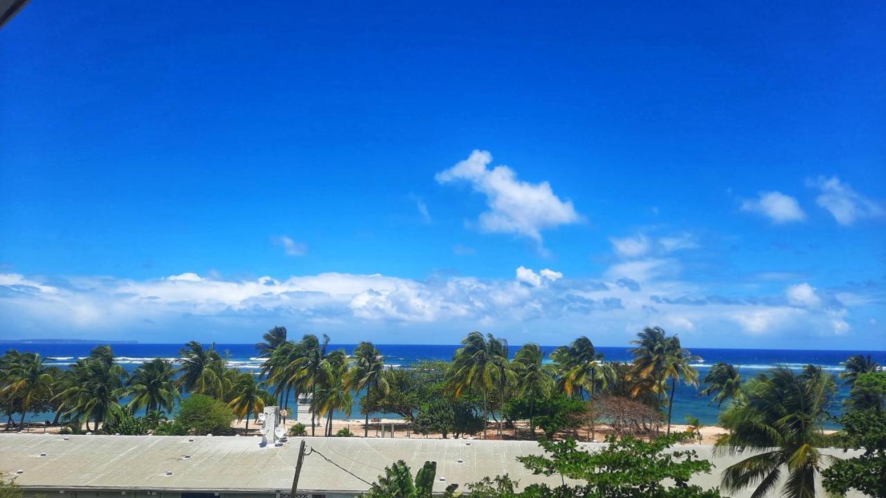 Studio T1 Bis La Belle Vue, Vue Mer, Wifi, Plage A 50M Le Moule Exterior foto